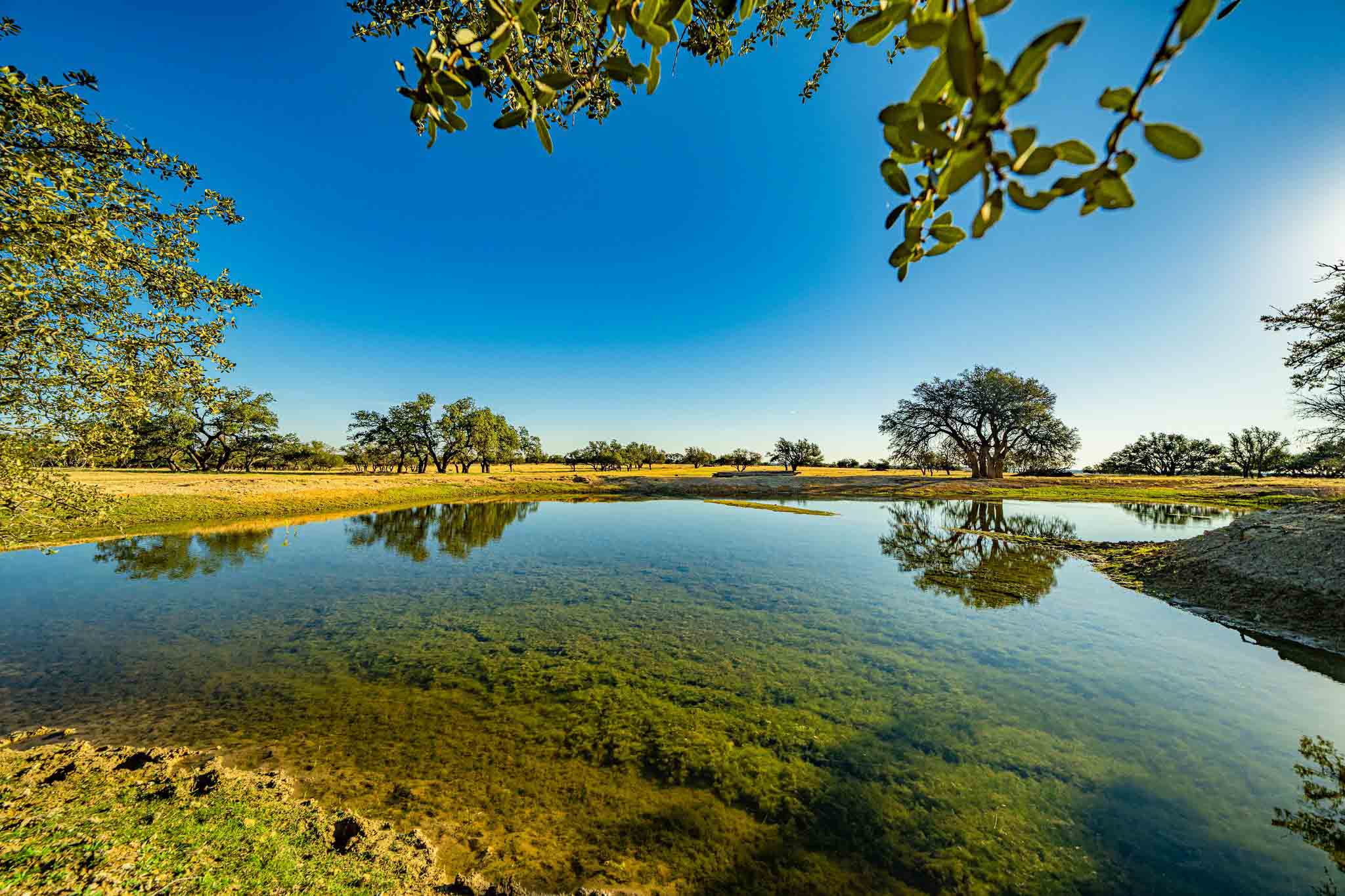 11,610-Acre Dragoo Draw Ranch in Sutton County Listed for $28.95 ...